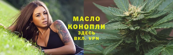 стафф Новозыбков