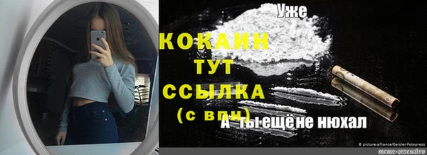 твердый Новокубанск