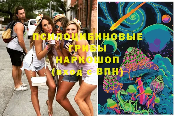 каннабис Новодвинск