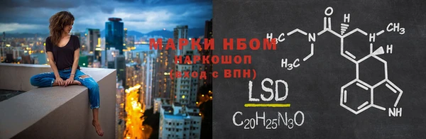 стафф Новозыбков