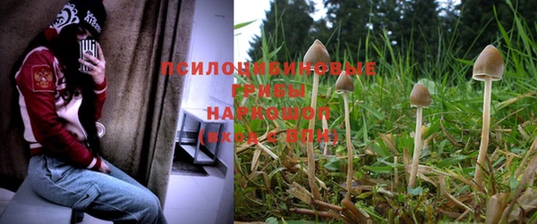 каннабис Новодвинск