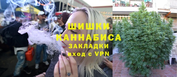 стафф Новозыбков