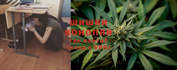 стафф Новозыбков