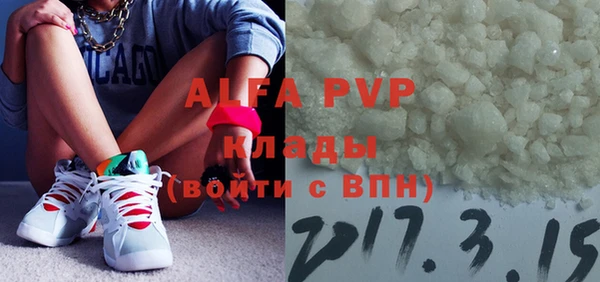 стафф Новозыбков
