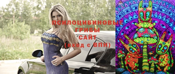 твердый Новокубанск