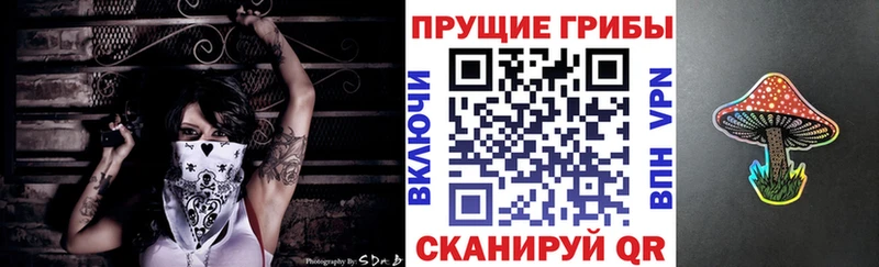 сколько стоит  Чехов  Галлюциногенные грибы мицелий 